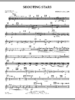 Shooting Stars von Richard L. Saucedo (Download) 