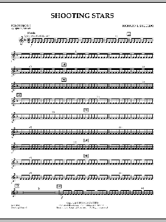 Shooting Stars von Richard L. Saucedo (Download) 