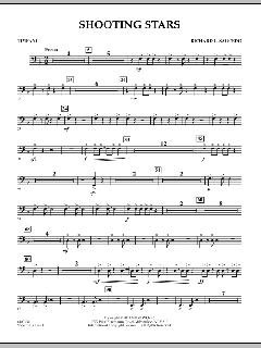 Shooting Stars von Richard L. Saucedo (Download) 