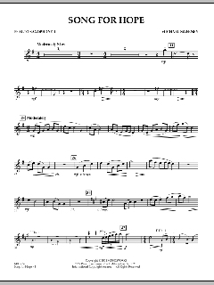 Song For Hope von Michael Sweeney (Download) 