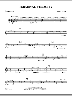 Terminal Velocity von Michael Oare (Download) 