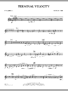 Terminal Velocity von Michael Oare (Download) 