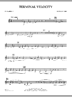 Terminal Velocity von Michael Oare (Download) 