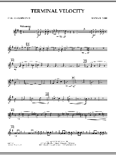 Terminal Velocity von Michael Oare (Download) 