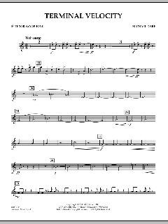 Terminal Velocity von Michael Oare (Download) 