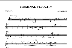 Terminal Velocity von Michael Oare (Download) 