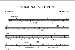 Terminal Velocity von Michael Oare (Download) 