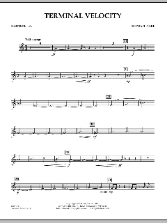 Terminal Velocity von Michael Oare (Download) 