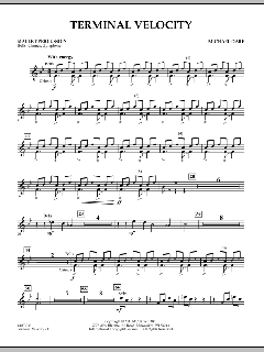 Terminal Velocity von Michael Oare (Download) 