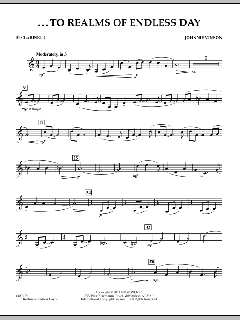 ...To Realms Of Endless Day von Johnnie Vinson (Download) 