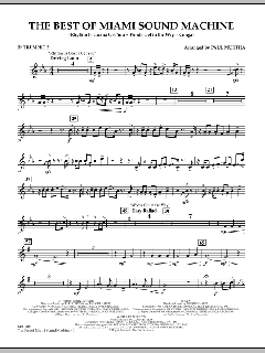 The Best Of Miami Sound Machine von Gloria Estefan (Download) 