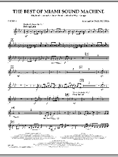 The Best Of Miami Sound Machine von Gloria Estefan (Download) 