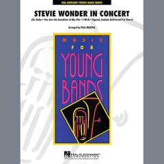 Stevie Wonder In Concert (Download) 
