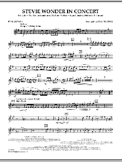 Stevie Wonder In Concert (Download) 