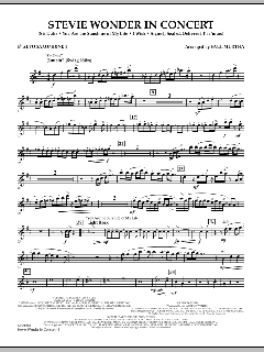 Stevie Wonder In Concert (Download) 