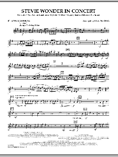 Stevie Wonder In Concert (Download) 