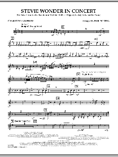 Stevie Wonder In Concert (Download) 