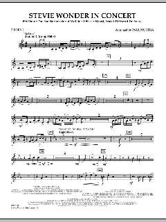 Stevie Wonder In Concert (Download) 