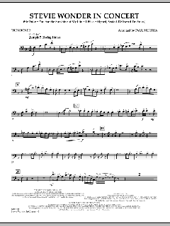 Stevie Wonder In Concert (Download) 