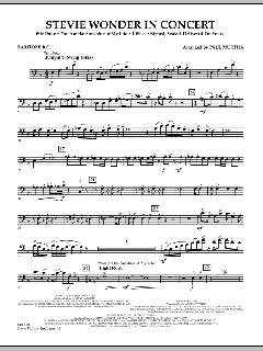 Stevie Wonder In Concert (Download) 