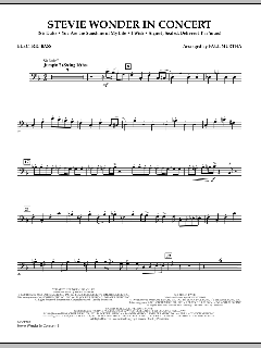 Stevie Wonder In Concert (Download) 