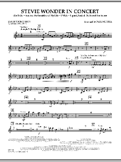 Stevie Wonder In Concert (Download) 