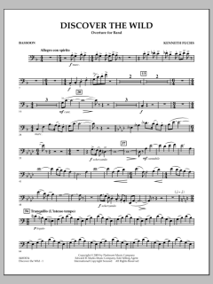 Discover The Wild von Kenneth Fuchs (Download) 