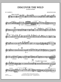 Discover The Wild von Kenneth Fuchs (Download) 