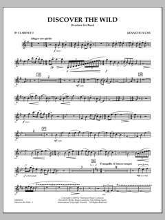 Discover The Wild von Kenneth Fuchs (Download) 