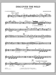 Discover The Wild von Kenneth Fuchs (Download) 