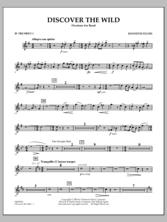 Discover The Wild von Kenneth Fuchs (Download) 