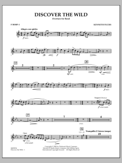 Discover The Wild von Kenneth Fuchs (Download) 