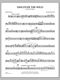 Discover The Wild von Kenneth Fuchs (Download) 