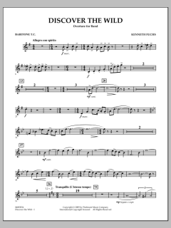 Discover The Wild von Kenneth Fuchs (Download) 