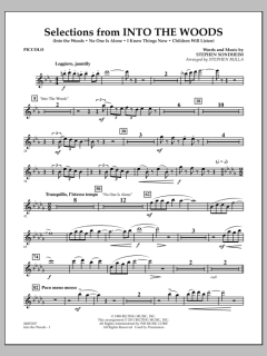 Selections From Into The Woods von Stephen Sondheim (Download) 