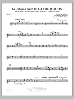 Selections From Into The Woods von Stephen Sondheim (Download) 