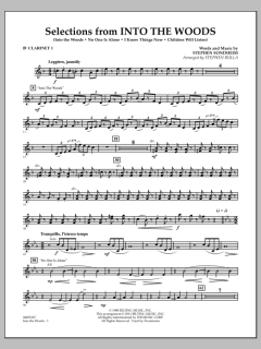 Selections From Into The Woods von Stephen Sondheim (Download) 