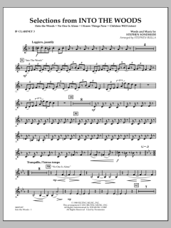 Selections From Into The Woods von Stephen Sondheim (Download) 