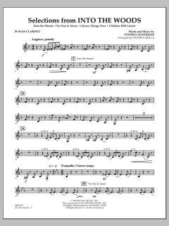 Selections From Into The Woods von Stephen Sondheim (Download) 