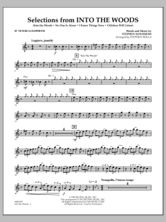 Selections From Into The Woods von Stephen Sondheim (Download) 