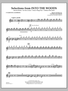 Selections From Into The Woods von Stephen Sondheim (Download) 