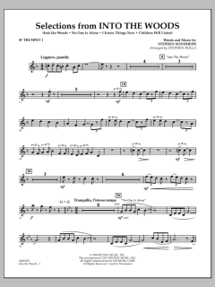 Selections From Into The Woods von Stephen Sondheim (Download) 