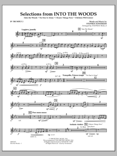 Selections From Into The Woods von Stephen Sondheim (Download) 