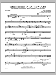 Selections From Into The Woods von Stephen Sondheim (Download) 