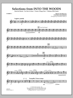 Selections From Into The Woods von Stephen Sondheim (Download) 