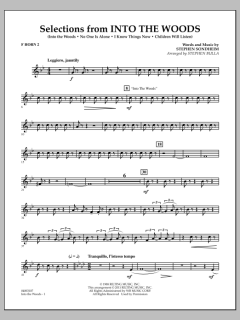 Selections From Into The Woods von Stephen Sondheim (Download) 