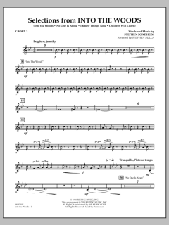 Selections From Into The Woods von Stephen Sondheim (Download) 