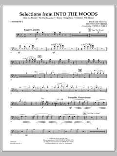 Selections From Into The Woods von Stephen Sondheim (Download) 