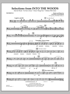 Selections From Into The Woods von Stephen Sondheim (Download) 