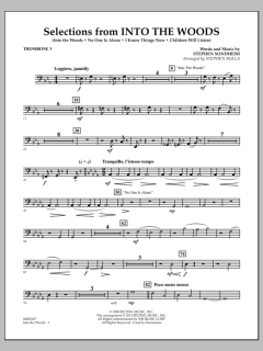Selections From Into The Woods von Stephen Sondheim (Download) 
